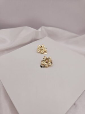 Brinco de Pressão 06