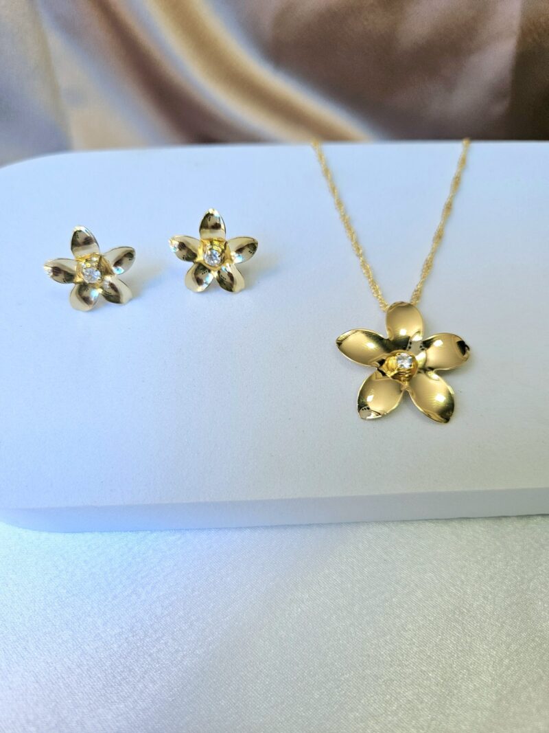 Conjunto 208