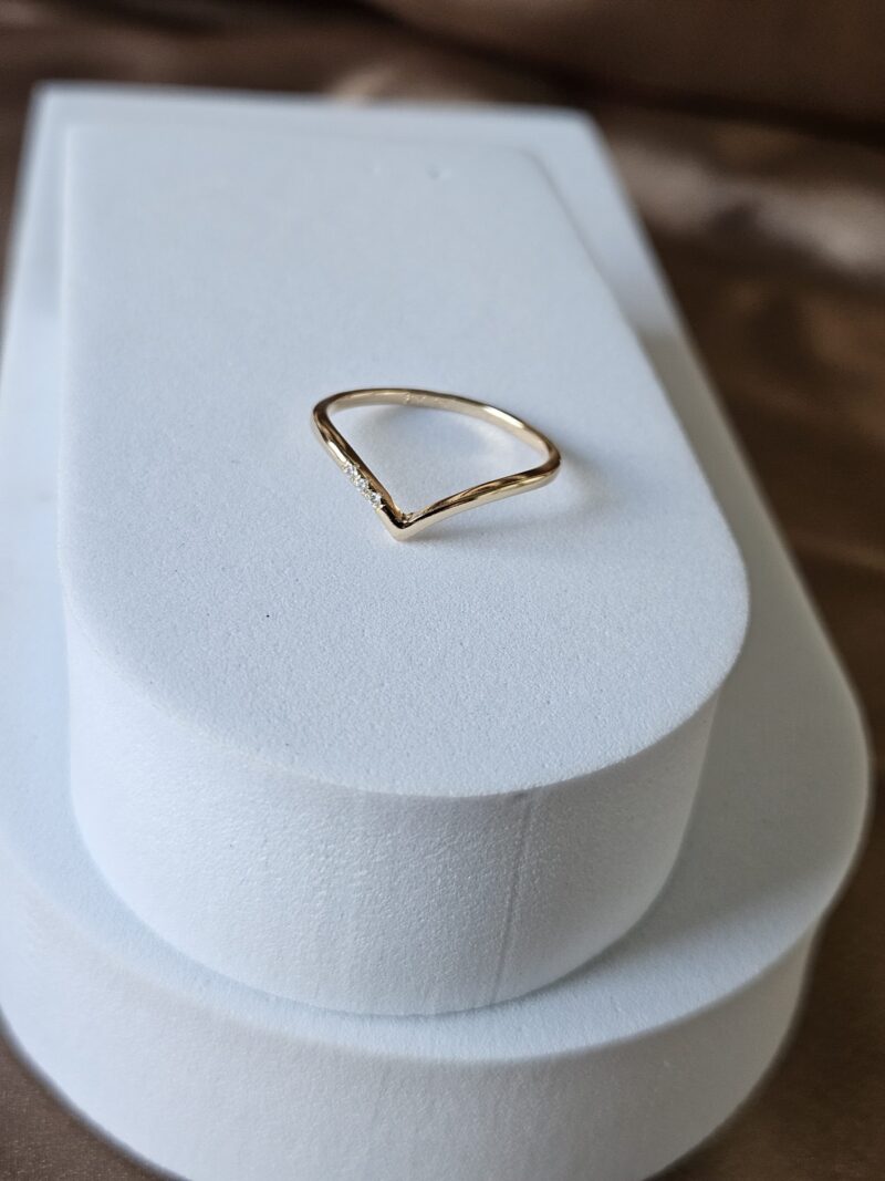 Anel Premium 0674