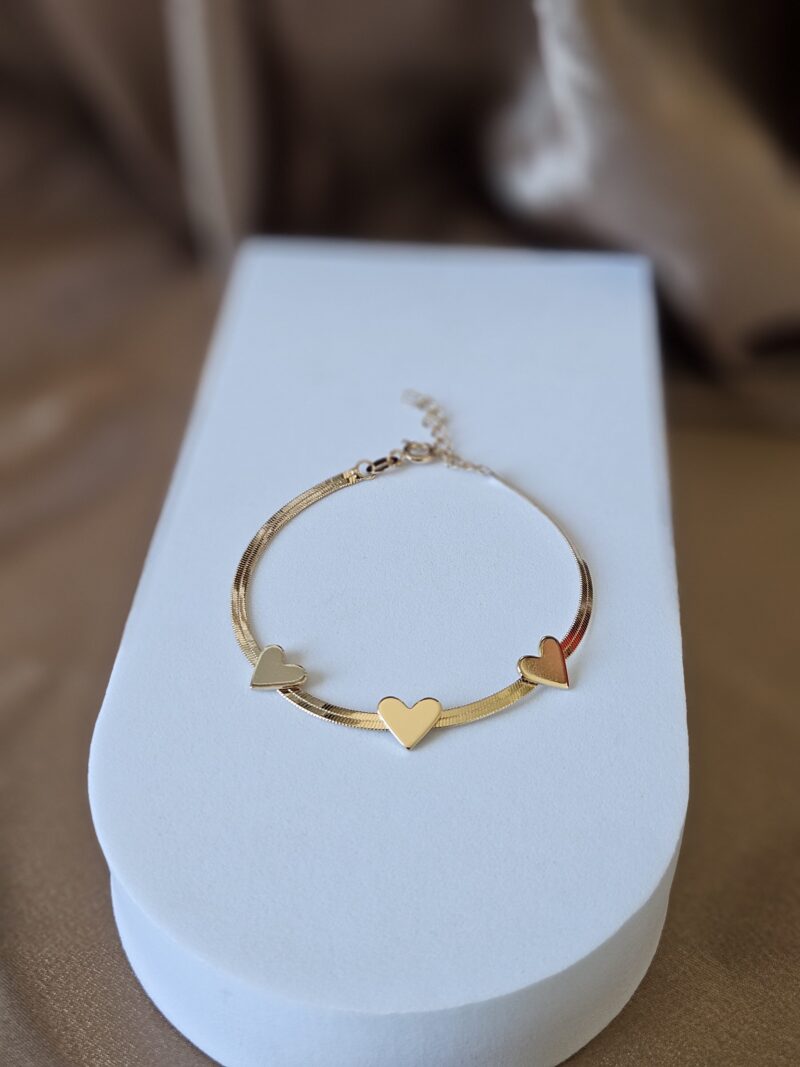 Pulseira 0401 premium a