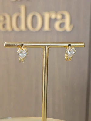 Argola Cravejada PR 542 g