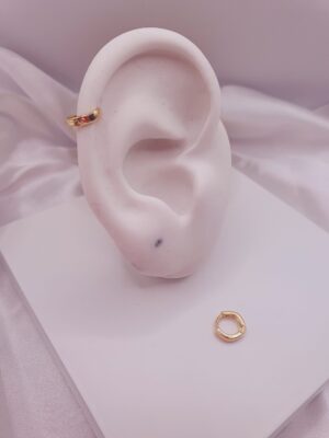 Argolinha Cartilagem 0270l