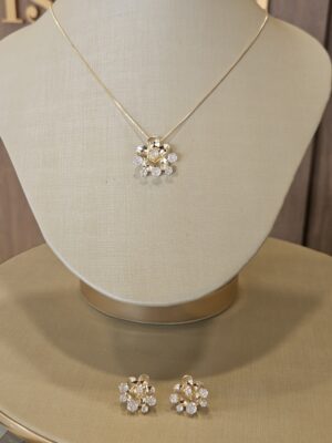 Conjunto flor brilhante